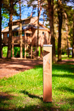 Load image into Gallery viewer, Solar Woodle Bollard