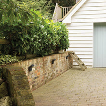 Load image into Gallery viewer, Soprano Wall Light