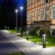 Load image into Gallery viewer, Strike Bollard