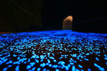 Load image into Gallery viewer, Starpath® Eco-Chip - 1Kg Bag (Approx 1 Sq/m coverage)